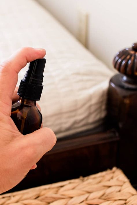 Essential Oil For Bed Bugs, Natural Bed Bug Spray, Bed Bug Spray Essential Oils Diy, Essential Oil Bed Bug Spray, Bed Bug Spray Essential Oils, Diy Bed Bug Spray, Killing Bed Bugs, Bed Bugs Essential Oils, Essential Oils Ants