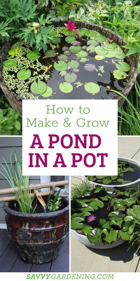 Small Pond For Garden, Little Pond Ideas Small Gardens, Potted Water Garden, Small Plant Garden Ideas, Easy Maintain Garden, Water Garden In A Pot, Indoor Water Features Diy, Outdoor Garden Ideas Backyards Easy Diy, Diy Planter Water Feature