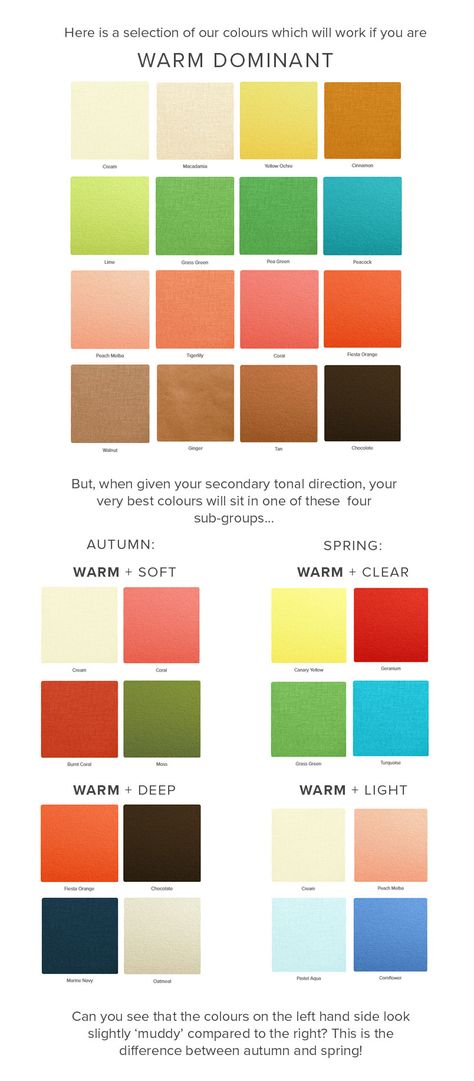 Warm Spring Palette, Warm Spring Color Palette, True Spring Color Palette, Light Spring Palette, True Spring Colors, Spring Skin, True Spring, Clear Spring, Spring Palette