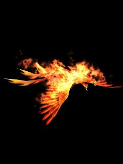 Fire Gif, Ombre Wallpaper Iphone, Phoenix Artwork, Fire Animation, Eagle Wallpaper, Ombre Wallpapers, Photoshop Digital Background, Background Powerpoint, Phoenix Art