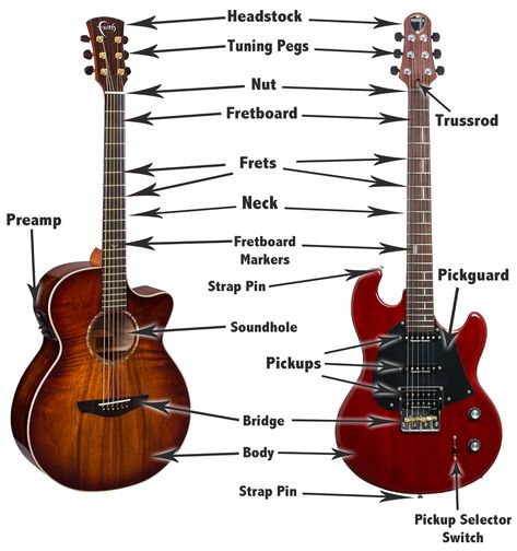 Guitar Anatomy Guitar Anatomy, Acoustic Guitar Parts, Basic Music Theory, Music Theory Lessons, Guitar Books, Beginner Guitar, Guitar Cable, Guitar Store, Guitar Practice