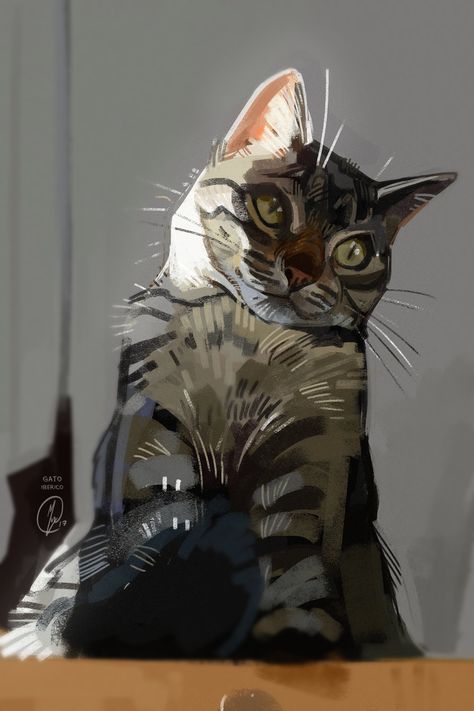 Gato Iberico on Twitter: "light study of my kiddo from 2017 🐈… " Light Study, Warrior Cat, Cute Kittens, Dog Photography, Cat Painting, Warrior Cats, Cat Illustration, Pics Art, Cat Drawing