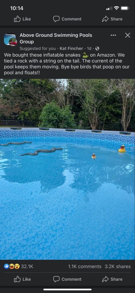 Pool Tips And Tricks Life Hacks, Above Ground Pool Tips And Tricks, Homemade Pools, Dipping Pool, Swimming Pool Maintenance, Outdoor Pool Area, Pool Hacks, Pool Care, Pool Maintenance