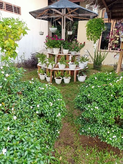 Tanaman Hias Outdoor, Stepping Stones, Outdoor Decor, Plants, Quick Saves, Home Decor, Home Décor