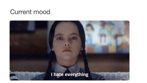 My current mood. I Hate Everything, Wednesday Addams, The Words, Hair