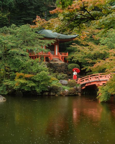 Hana's Travel Journal’s Instagram photo: “I’m not a big fan of rainy days but I have to admit that I didn’t mind it today at all...😊☔️🏯 Daigo-ji Temple in Kyoto is beautiful in any…” Kyoto Rainy Day, Daigo-ji Temple, Kyoto Autumn, Kyoto Temple, Japan Holiday, Japan Temple, Japan Holidays, Japanese Temple, Travel Moments