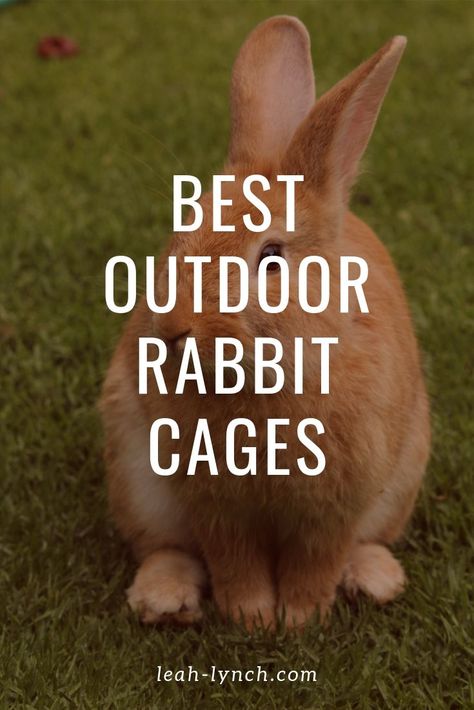 How to find the best outdoor rabbit cage for your pet. Or for the rabbits on your homestead. #rabbit #pet #care Diy Bunny Cage Outdoor, Art Reference Cute, Rabbit Art For Kids, Farm Baby Nursery, Rabbits Drawing, Landscaping Farm, Sketch Rabbit, Rabbit Line Art, Outdoor Rabbit Run