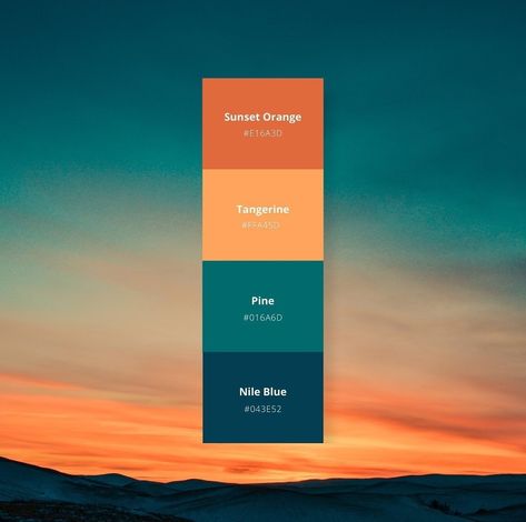 Rain Forest Color Palette, Bohemian Color Palette Moroccan Style, Light Blue And Orange Color Palette, Desktop Asthetic, Color Palette With Orange, Blue Orange Color Palette, Color Palette Orange, Orange Branding, Colorful Website Design