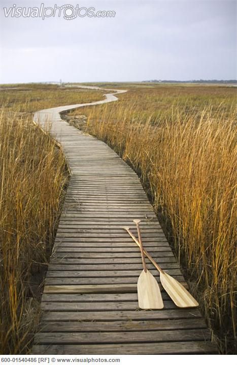 walkway through marsh Boardwalk Landscape, Cape Cod Aesthetic, New England Aesthetic, Road Trip Photography, New England Road Trip, Wooden Paddle, Maine Travel, Cape Cod Massachusetts, New England Travel