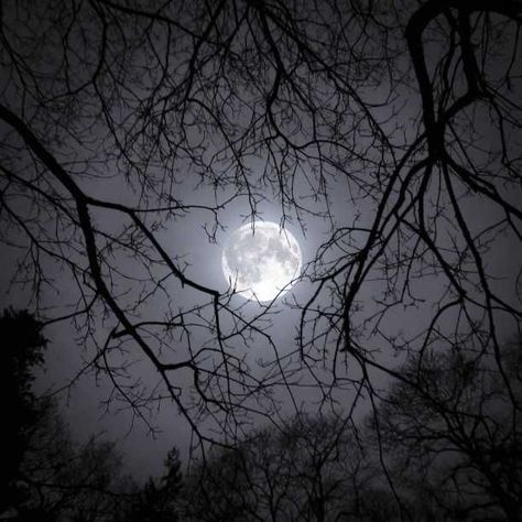 Grey Moon Aesthetic, Moon Fairy Aesthetic, Moon Icon Aesthetic, Moon Aesthetic Icon, Moon Aestethic, Moon Dark Aesthetic, Winter Icons Aesthetic, Dark Moon Aesthetic, Moon Aesthetic Dark