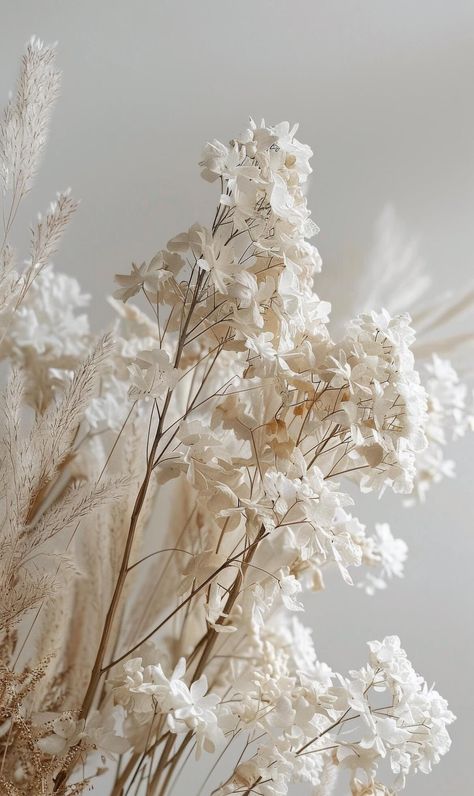 Close Up of a Plant With White Flowers Warm White Aesthetic, Elf Moodboard, White Flowers Aesthetic, Scrapbooking Background, Boho Images, White Flowering Plants, White Pic, Brown Pictures, Soft Flowers