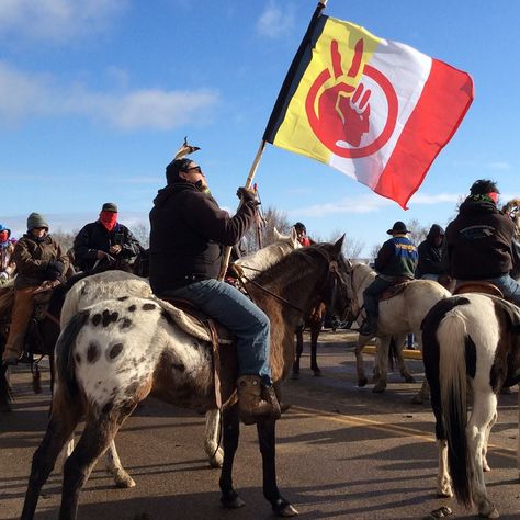 Of paramount concern is the threat the pipeline poses to drinking water. “The more concerning threat is what this pipeline WILL do to the environment. All pipelines break at some point in their lifetime. Pipelines spill their contents. And in some cases, pipelines explode.” Nicole Montclair-Donaghy (Lakota) From a two-year span starting in January 2012, North Dakota experienced over 300 oil spills and 750 “oil field incidents” Sioux Tribe, Native American Paintings, Indian Reservation, Native American Wisdom, Native American Pictures, Native American Photos, Standing Rock, Missouri River, Native American Peoples