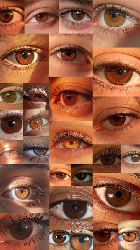 #brown #browneyes #aesthetic Pretty Eyes Color, Green Brown Eyes, Best Friend Miss You, Rare Eye Colors, Brown Eyes Aesthetic, Eye Color Chart, Rare Eyes, Aesthetic Shuffles, Beautiful Eyes Color