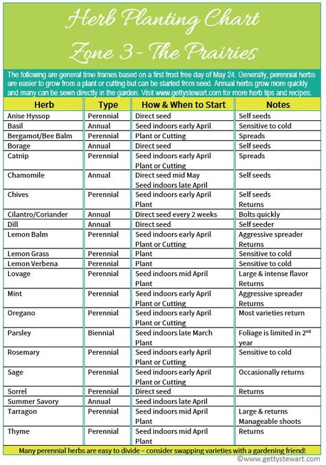 An herb growing chart with information on how and when to start or seed over 20 annual and perennial herbs. Specific information for Zone 3 Prairie Gardens. Seed Starting Chart, Avocado Seed Growing, Herb Growing, Prairie Garden, Avocado Seed, Gardening Zones, Perennial Herbs, Plant Cuttings, Growing Seeds