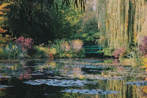 Monet Quilt, Pond With Bridge, Monet Japanese Bridge, Quince Blossom, Pond Aesthetic, Taman Vintage, Monet Wallpaper, Pond Photography, Water Lily Pond Monet