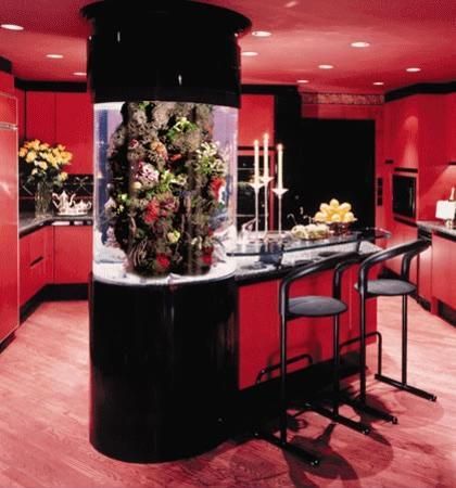 Red kitchen cabinets, contemporary kitchen island with a built-in aquarium tower Glass Fish Tanks, Amazing Aquariums, Cool Fish Tanks, Home Aquarium, Aquarium Design, Kitchen Island Design, Glass Fish, Red Kitchen, Aquarium Fish Tank