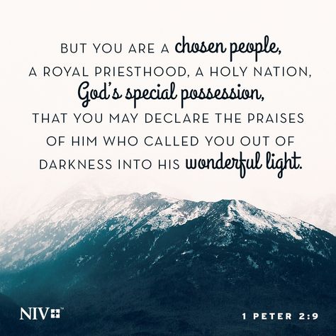 9 But you are a chosen people, a royal priesthood, a holy nation, God's special possession, that you may declare the praises of him who called you out of darkness into his wonderful light. 1 Peter 2:9 1 Peter 2 9, Royal Priesthood, Favorite Bible Verses, 1 Peter, Walk By Faith, Bible Encouragement, Wonderful Words, Verse Of The Day, Christian Inspiration