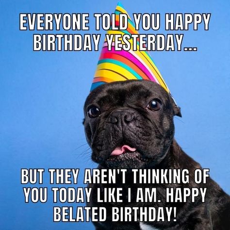 50+ Funny Happy Belated Birthday Memes for Everyone Late Happy Birthday Wishes Funny, Funny Belated Birthday Cards, Happy Belated Birthday Funny Hilarious, Belated Happy Birthday Wishes Funny, Happy Late Birthday Funny, Belated Birthday Funny Hilarious, Happy Belated Birthday Brother, Late Birthday Wishes Funny, Belated Birthday Wishes Friends