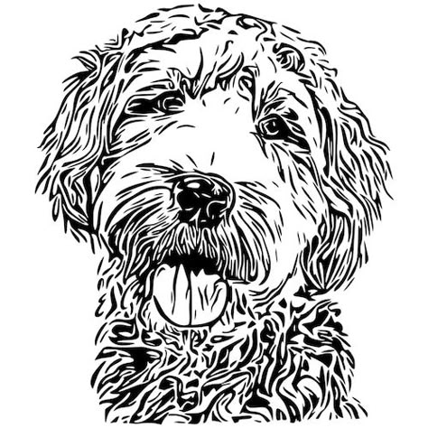 Labradoodle Svg, Dingo Puppy, Echidna Puggle, Scanncut Projects, Dogs Sketch, Goldendoodle Black, Goldendoodle Art, Kangaroo Joey, Cricut Animals