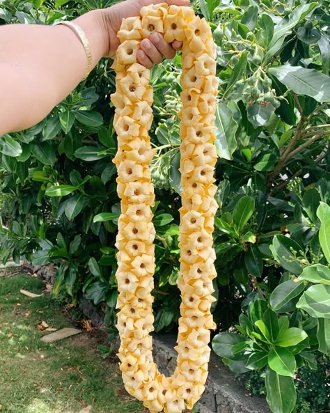 Hawaii Lei Aesthetic, Haku Lei Poo, Mokihana Lei, Mermay 2024, Pikake Lei, Pakalana Lei, Lei Making, Hawaiian Leis, Puakenikeni Lei