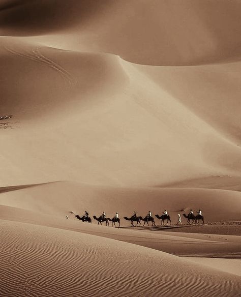 Arabian Peninsula Aesthetic, Saudi Desert Aesthetic, Beige Desert Aesthetic, African Desert Aesthetic, Ancient Arabian Aesthetic, Sahara Desert Aesthetic, Arab Aethstetic, Arabian Desert Aesthetic, Saudi Desert