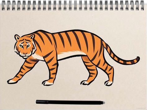 White Tiger Drawing Easy, Tiger Drawing Illustration, Tiger Drawings Easy, Tiger Sketch Easy, Drawing Tiger Easy, Easy Tiger Drawing Simple, How To Draw A Tiger Easy, Tiger Drawing Easy Step By Step, Tiger Simple Drawing