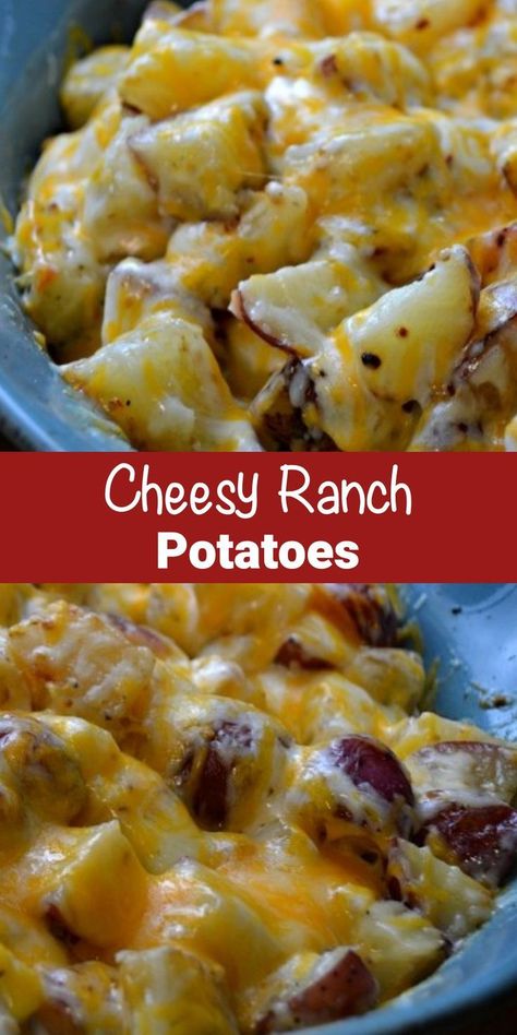 Jul 27, 2023 - Cheesy Ranch Potatoes Recipe - these are my favorite potato recipe ever! You only need 3 ingredients & everyone who eats it RAVES about how delicious it is! Easy And Cheesy Ranch Baked Potatoes, Ranch Potato Casserole Recipes, Potato Ranch Recipes, Baked Cheesy Potatoes Easy, Ranch Red Potato Recipes, Ranch Potatoes Casserole, Easy Red Potato Recipes Quick, Bacon Cheddar Ranch Potatoes, Rotel Potatoes Recipe