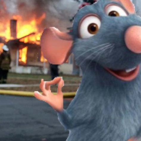 Disney Reaction Pics, Ratatouille Pfp, Ratatouille Wallpaper, Remy The Rat, Remy Ratatouille, Ratatouille Disney, Dear Diary, Olaf The Snowman, Reaction Pictures