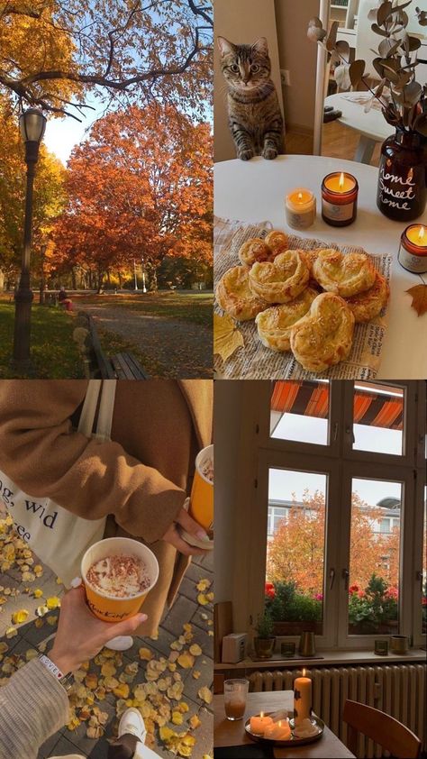 Fall Aesthetic, Autumn Leaves, Trees, Candles, Drinks, Collage