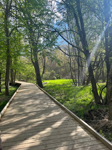 boardwalk woods forest woodland spring summer walk hike nature Board Walk, Pocket Park, Woods Forest, Wood Deck, Mars, Hiking, Walking, Forest, Spring Summer