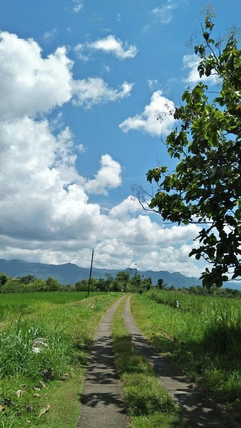 Sky Photography Nature, Story Ideas Pictures, Sky Pictures, Photos Tumblr, Tumblr Photography, Alam Yang Indah, Sky And Clouds, Beautiful Sky, Nature Aesthetic