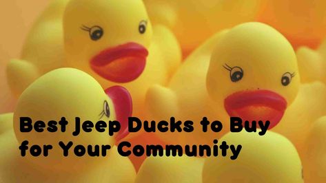 Ducking Jeep Ideas, Types Of Jeeps, Jeep Ducks, Duck Mount, Types Of Ducks, Best Jeep, Jeep Brand, Duck Toy, Cool Jeeps