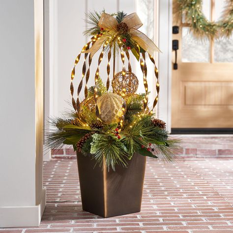 Tall planters front door