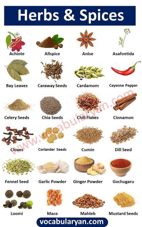 Herbs and Spices Chart, Herbs List, Spice Vocabulary, List of Common Spices, Herbs Names in English With Pictures, Common Herbs and Spices, Difference Between Herbs and Spices, List of Spices and Their Uses Spices List For Kitchen, Spices Chart, Spices And Their Uses, Spices List, Fruits And Vegetables Names, List Of Herbs, Spice Chart, Fruits And Vegetables List, Herbs List