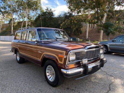 1984 Jeep Grand Wagoneer for sale near Glendale, California 91203 - 101971993 - Classics on Autotrader Power Wagon For Sale, Glendale California, Jeep Grand Wagoneer, Wagons For Sale, Grand Wagoneer, Power Wagon, Car Dealers, Collector Cars, Jeep Grand