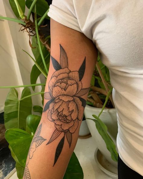 Jordyn Hilton’s Instagram photo: “Classic set of peonies for a lovely return client. I feel so humbled when you all come back to get more work 💕 . . . . #lineworktattoo…” Classical Tattoos, Tattoo Types, Photo Classic, Traditional Tattoo Flowers, Back Of Neck Tattoo, Elbow Tattoos, Botanical Tattoo, Tattoo Portfolio, Line Work Tattoo