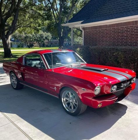 1966 Mustang Fastback, 66 Ford Mustang, 1966 Mustang, 66 Mustang, Mustang Sally, 1965 Mustang, Old Vintage Cars, Ford Mustang Car, 1966 Ford Mustang