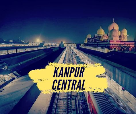 Kanpur City Photography, Kanpur City, Photography Tips For Beginners, Photography For Beginners, City Photography, Local Businesses, Photography Tips, Taj Mahal, Parrot