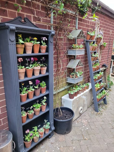 Garden Shelving, Garden Shelves, Garden Planter Boxes, Backyard Greenhouse, Greenhouse Plans, Outdoor Pots, Cold Frame, Small Garden Design, Vintage Garden