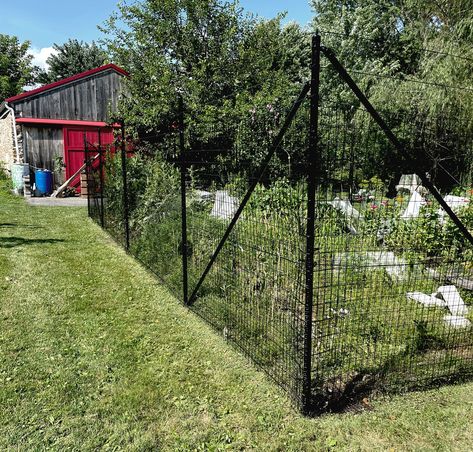 Ten Garden Fences Using Deer Fencing Materials—Deer Fence for Garden Deer Fencing For Garden, Deer Proof Garden Fence Ideas, T Post Garden Fence, Deer Fencing Ideas, Deer Fence Ideas, Garden Fence Deer Proof, Deer Proof Garden Fence, Deer Fencing Around Garden, Deer Garden Fence Ideas