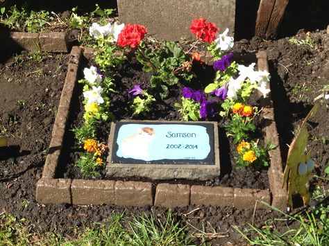 Cat Memorial Stone Diy, Cat Memorial Ideas Garden, Memorial Plaque Ideas Garden, Memorial Garden For Dog, Pet Grave Ideas Memorial Gardens, Dog Grave Ideas Pet Memorials, Garden Memorial Ideas, Pet Grave Ideas, Pet Cemetery Ideas