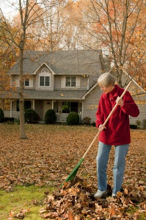 How to Rake Leaves - Bob Vila Daycare Business, Lawn Mower Repair, Raking Leaves, The Last Leaf, Fall Clean Up, Family Child Care, Fall Cleaning, Lawn Fertilizer, Bob Vila