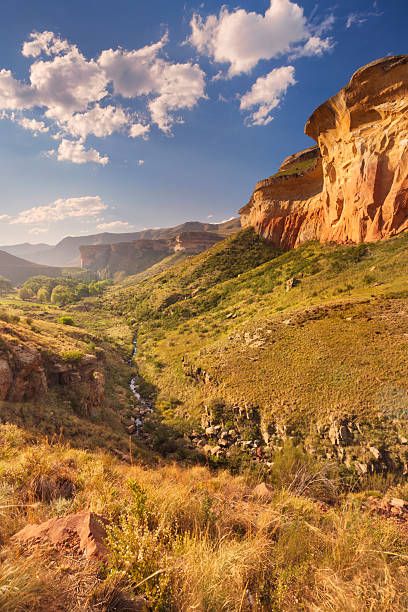 Windmill Water Pump, Cape Colony, South Africa Map, Drakensberg Mountains, Windmill Water, South Africa Flag, Provinces Of South Africa, Africa Flag, African Paintings