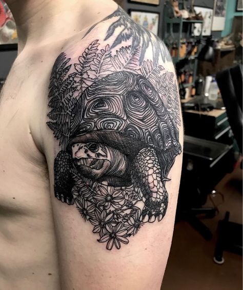 My Galapagos tortoise by Kylie James @ Hard Case in Portland (fresh) Tortoise Tattoo, Turtle Tattoo Designs, Galapagos Tortoise, Mens Shoulder Tattoo, Back Tattoos For Guys, Gothic Tattoo, Turtle Tattoo, R Tattoo, Classic Tattoo