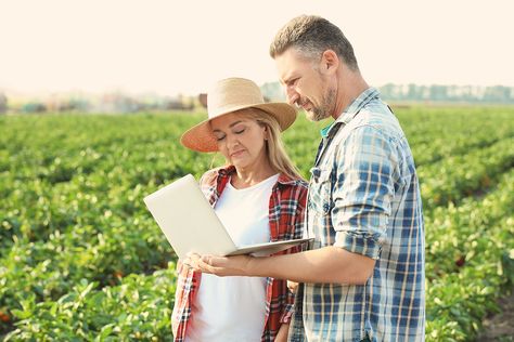 In this detailed guide on the best farm accounting software, we compare price, features, customer reviews and ease of use for our top six picks. Farm Accounting, Farm Management, Mentor Program, Farm Business, Software Apps, Quickbooks Online, Flower Farmer, Accounting Software, Live Events