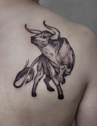 Wild Bull Tattoo, Mexican Bull Tattoo, Bull In A China Shop Tattoo, Spanish Bull Tattoo Ideas, Bull Fighter Tattoo, American Traditional Bull Tattoo, Bucking Bull Tattoo, Bull Tattoo Design, Spanish Bull Tattoo