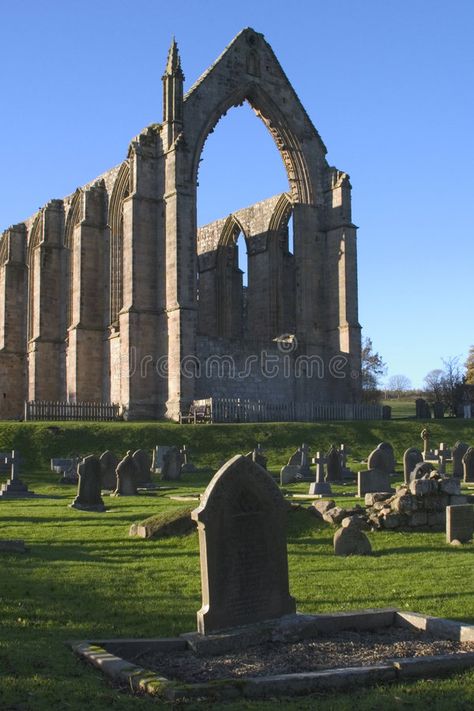 Buckfast Abbey, Bolton Abbey Yorkshire, Bath Abbey England, Medieval Abbey, Bolton Abbey, Fountains Abbey, Houses Ideas, Yorkshire Dales, West Yorkshire