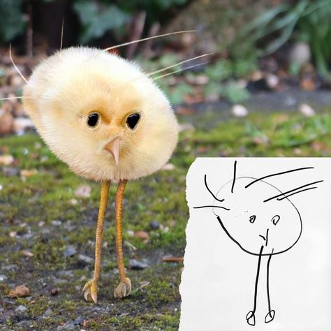 Dad Photoshops Kids’ Drawings As If They Were Real, And It’s Terrifyingly Funny Funny Kid Drawings, Weird Looking Animals, Childrens Drawings, Kids Drawings, Pictures To Draw, Drawing For Kids, Funny Kids, Animals For Kids, Animal Drawings