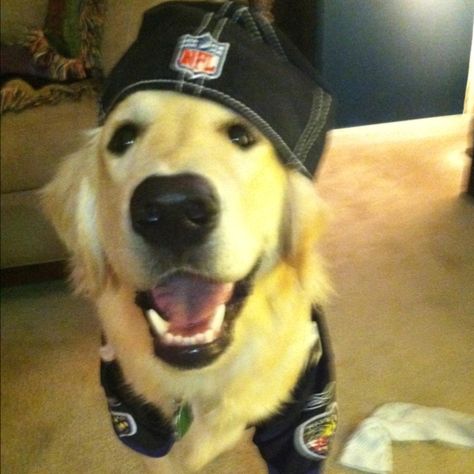 Dog Pfps, Dogs With Hats, Puppies Aesthetic, Go Ravens, Dog With Hat, Cowboy Dog, Dog Pfp, Cute Grunge, Goofy Dog