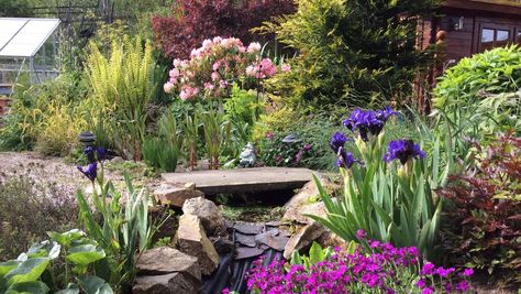 Scottish Garden Ideas, Scottish Gardens, Fine Dining Dinner, Scottish Garden, Highland Scotland, Memory Garden, Cottage Garden Design, Scotland Highlands, Best B